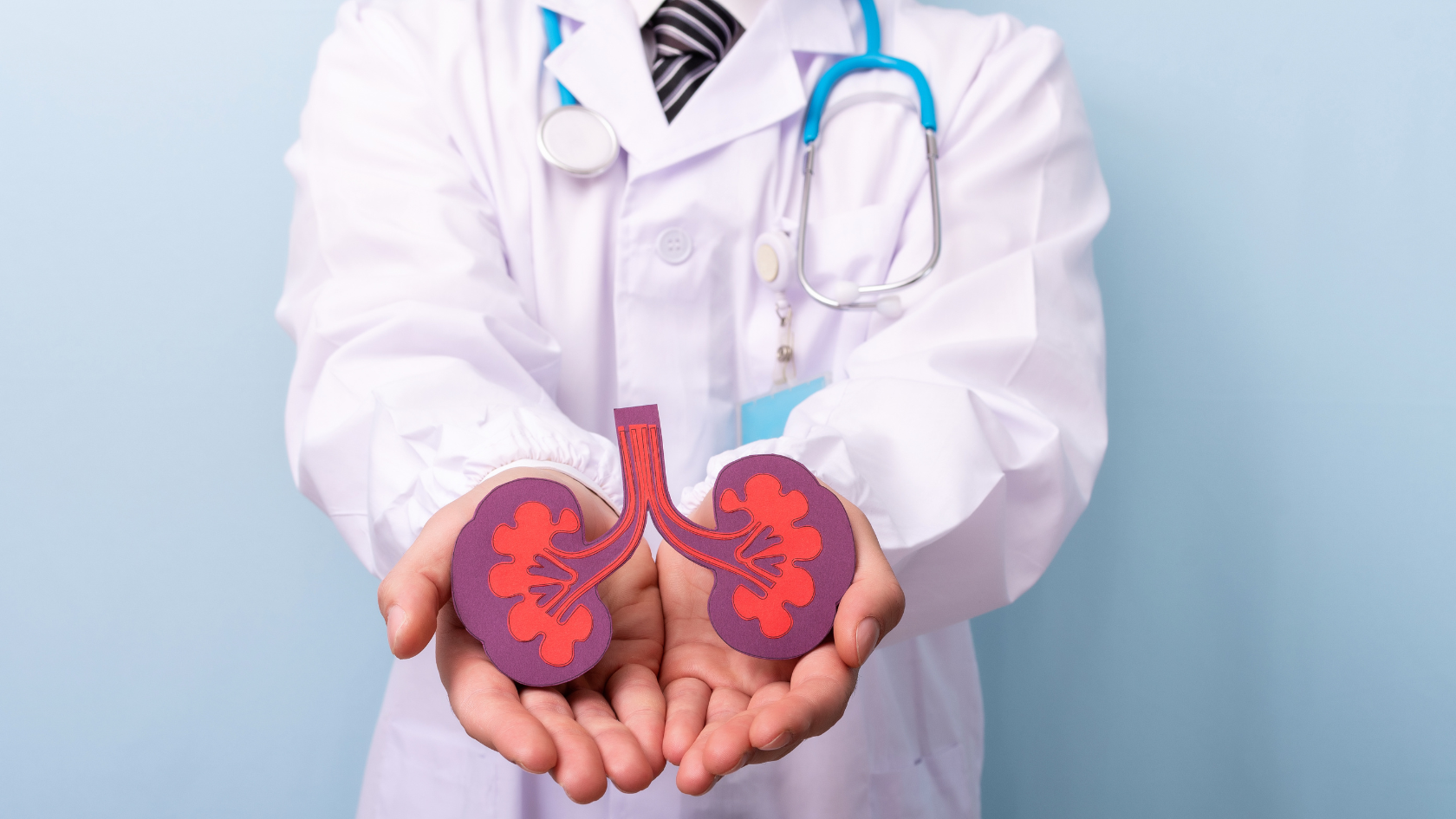 Orientações para transplante renal: guia completo para pacientes